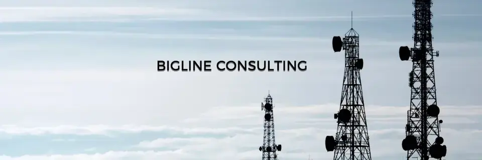 Bigline Consulting
